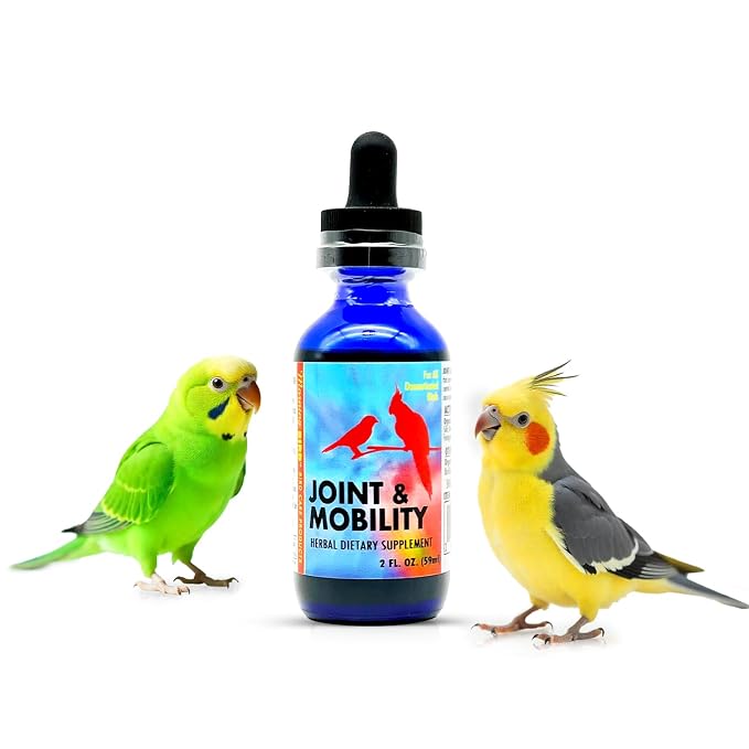 Morning Bird Joint & Mobility 2 fl oz – Herbal Liquid Supplement for Birds – Supports Joint Health, Muscle Comfort & Mobility – Ideal for Aging or Recovering Birds