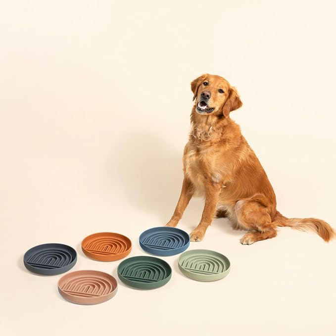 Should We Go? Slow Feeder Dog Bowls - Large Size Silicone Slow Eating Dog Bowl for Puppies & Dogs with Suction Cup -Dishwasher-Safe, Lick Mat Design, Reduces Gulping,for All Breeds,9.5”x1.5”- Blush