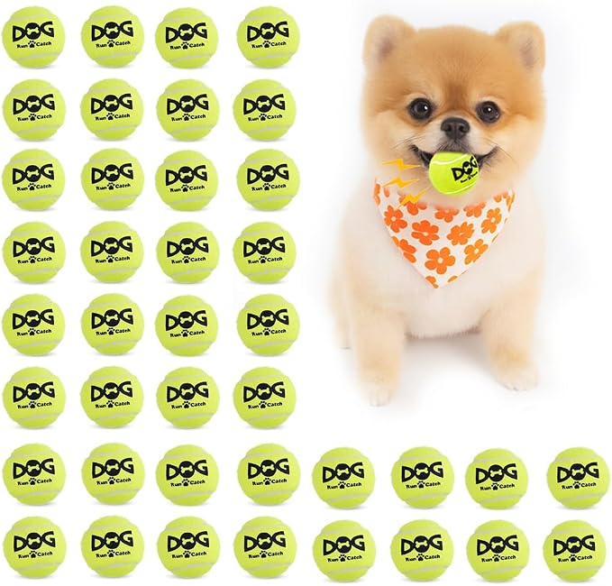 INSUM 40 Pack Small Tennis Balls for Dogs - 2 Inch Squeaky Dog Balls Toys with Mesh Bag, SGS Certified, Durable Non-Toxic, Built in Squeaker, Small Breeds