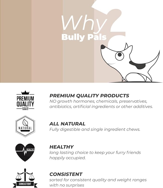6 inch Thin Bully Sticks for Small Dogs and Puppies (20 Pack) - All Natural, Single Ingredient, Easily Digestible, All Beef Dog Treats and Rawhide Free Dental Chew Bones for Dogs