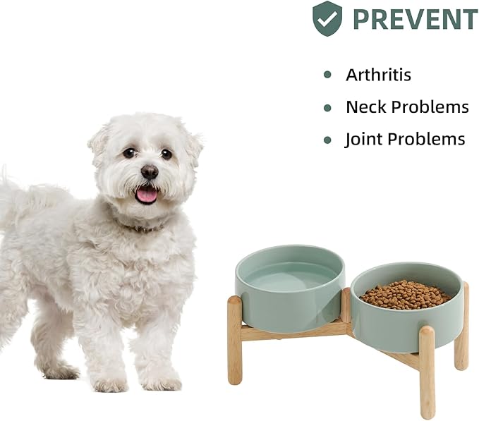 Havniva 6.1inch Ceramic Raised Dog Bowl with Stand, Double Dog Bowls Elevated for Small and Medium Breed Dog Food and Water Bowl Set Non-Slip Dog Dish Large Capacity Feeding Pet Water Bowl