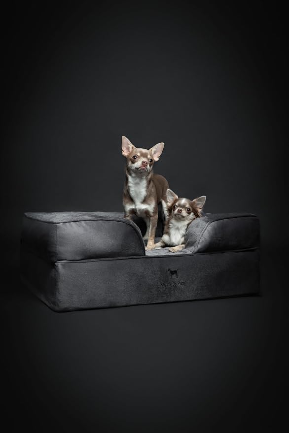 NOAH & PAW Dog Bed, 28x23x11 Inch, Orthopedic Dog Beds for Medium Size Pets, Eggshell Memory Foam Infused with Cooling Gel, Inner Cover, Water Resistant, Machine Washable (Velvet Sofa Collection)