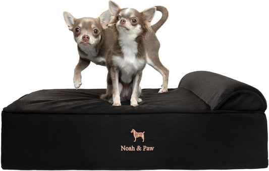 NOAH & PAW Dog Bed, 28x23x7.5 Inch, Orthopedic Dog Beds for Medium Size Pets, Eggshell Memory Foam Infused with Cooling Gel, Water Resistant, Machine Washable, Includes Inner Cover (Denim Collection)