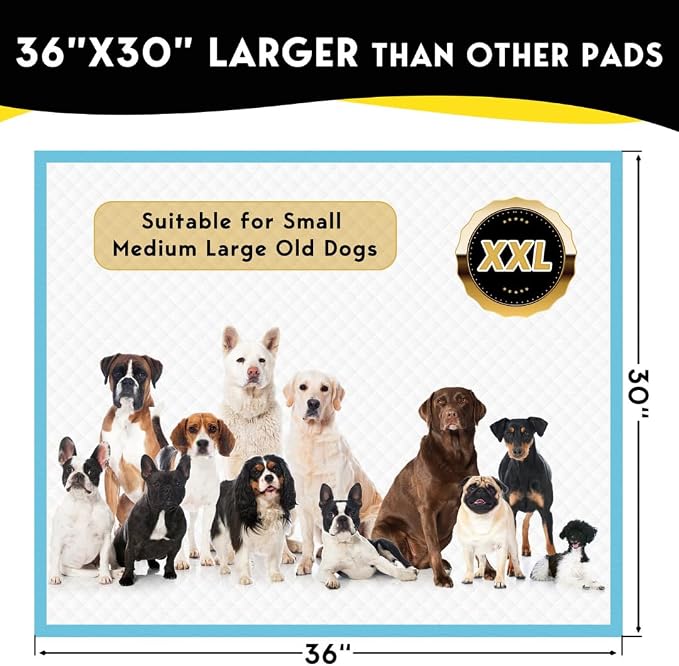 XXL Dog Training Pads – 30" x 36", 100 Count | Extra-Large Puppy Pee Pads, Super Absorbent, Leak-Proof, Odor Control Disposable Pet Pads for Housebreaking, Senior Dogs, Indoor Use