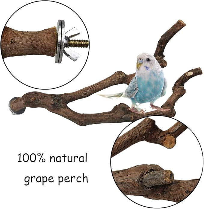 kathson Natural Parrot Perch for Cage Wooden Bird Perches Grape Bird Stick Parakeet Climbing Standing Branches Toy Chewable Cage Accessories for Small Budgies Cockatiels Lovebirds Budgies