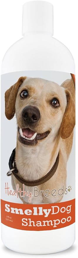 Healthy Breeds Chiweenie Smelly Dog Baking Soda Shampoo 8 oz