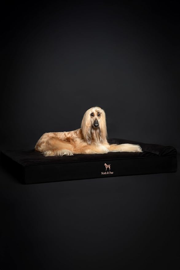 NOAH & PAW Giant Dog Bed XXL 55x45x9.5 Inch, Orthopedic Dog Beds, Eggshell Memory Foam Infused with Cooling Gel, Water Resistant, Machine Washable, Includes Inner Cover (Denim Collection)