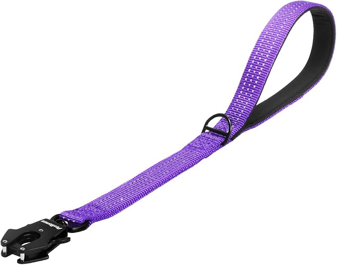 PetBonus Heavy Duty 18 Inch Short Dog Leash and 2-Pack Large Silicone Collapsible Dog Bowls