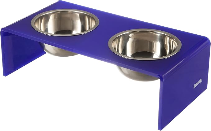 DBL2000F Keaton 5" Small/Medium Modern Acrylic Rectangular Elevated Pet Feeder with 20oz 2-Stainless Steel Bowls, Purple/Chrome