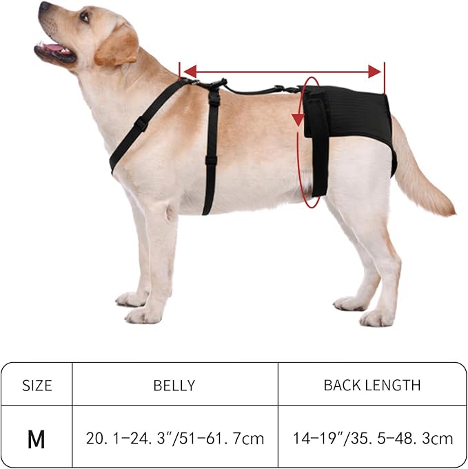 Female Dog Heat Pants with Harness Design - Anti-Slip, Anti-Mating, Reusable & Washable Underwear for All-Day Protection (Black, M)