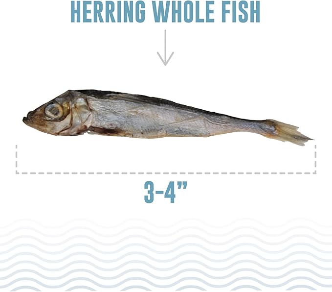 Icelandic+ Whole Fish Herring - 9oz Bag - Dog Treats, Pure Wild-Caught Air-Dried Fish, Single Ingredient Snack, Pet Chew, Just The Fish Nothing Else