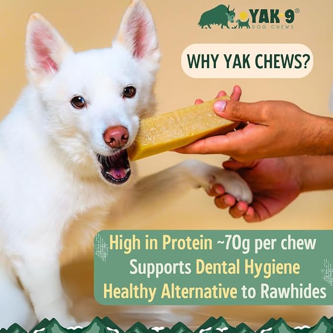 Yak9 Yak Cheese Himalayan Dog Chew, Turmeric | High Protein, Non Rawhide Dog Chews Long Lasting| Non GMO, Gluten Free, Grain Free Yak Milk Dog Chew | Extra Large Size,1 PC