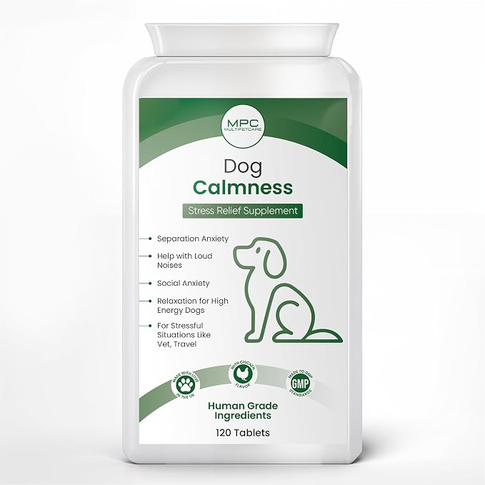 Calming Chews for Dogs – Daily Anxiety & Hyperactivity Support | L-Theanine, Taurine, Magnesium & Ginger | For Separation, Storms, Fireworks & Travel | Chicken Flavor Tablets | UK GMP | 120 Ct