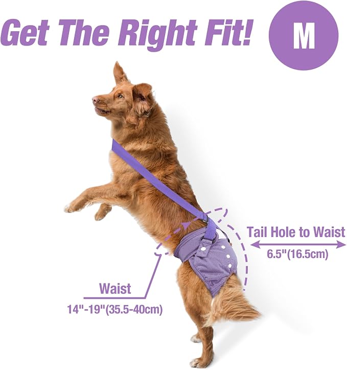 Pet Soft Dog Diapers Female with Suspenders, 3 Pack Reusable Female Dog Diapers for Heat, Dog Period Panties for Doggie in Cycle(Medium, Pinkycolor)