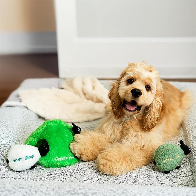 Green Sheep Hide & Seek Toy for Dogs, Durable Plush Squeaky Dog Toys with Recycle Cotton Rope, Interactive Chew Toy for Small to Large Dogs, Tough Pet Toys to Keep Them Busy