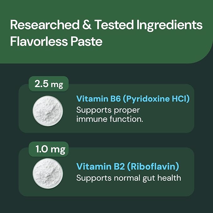 VetriScience Quick Action Diarrhea Aid Paste - Occasional Diarrhea Support for Pets - Probiotic Formula for Nervous Guts - Digestive Support Supplement - Unflavored - 60 cc