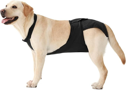 IECOii Washable Dog Diapers Female with Suspenders, Escape-Proof Period Panties for Heat, Incontinence & Potty Training, Reusable Sanitary Underwear for Senior Dog, Ideal for Caregivers & Breeders,2XL