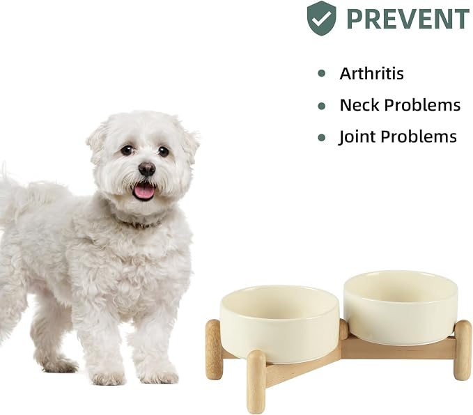 Havniva 5.1inch Ceramic Raised Dog Bowl with Stand, Double Dog Bowls Elevated for Small Breed Dog Food and Water Bowl Set Non-Slip Dog Dish Large Capacity Feeding Pet Water Bowl