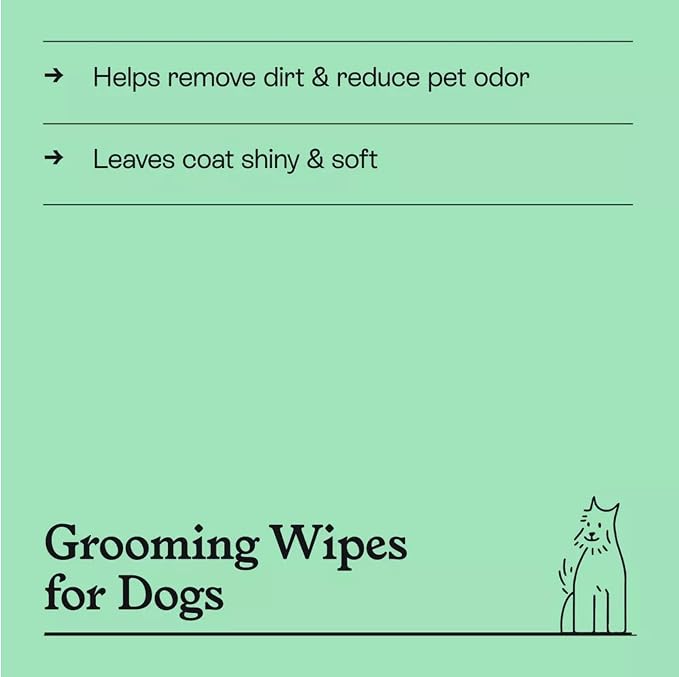 Kindfull Dog Grooming Wipes – 1 Pack (60 Wipes), Botanical Mint Scent – Gentle, pH-Balanced Pet Wipes for Paws & Fur – Plant-Based, Alcohol-Free – 7.9" x 7.7" Each