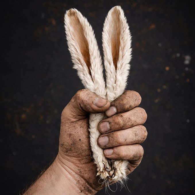 Air-Dried Dog Treats | Rabbit Ears | Single Ingredient, High Protein, Digestion Health, Premium Crunchy Snack | 100% Natural. 0% Alive. (4.5 oz)