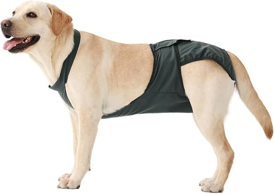 IECOii Washable Dog Diapers Female with Suspenders,Escape-Proof Dog Period Diaper for Heat, Incontinence & Potty Training, Leakproof Resuable Sanitary Pantie for Belly Post-Surgery Recovery, L