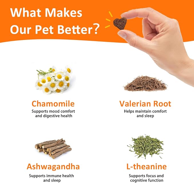 Quiet & Concentration Herbal Chews for Dogs, Behavior Support Supplement with Chamomile, L-Theanine, Valerian Root, ashwagandha, Bacon Flavor, Large container-120 Soft Chews, 12.69 oz (3)