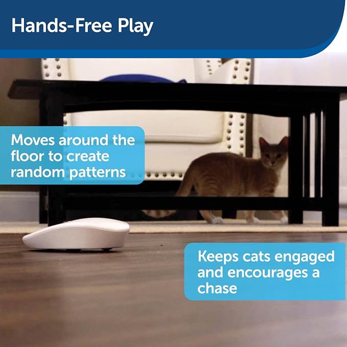 PetSafe Laser Tail - Automatic Cat Laser Toy - Interactive - Relieves Anxiety - Moves Around Floor to Create Random Laser Patterns - Hands-Free Play - Auto Shutoff Prevents Overstimulation