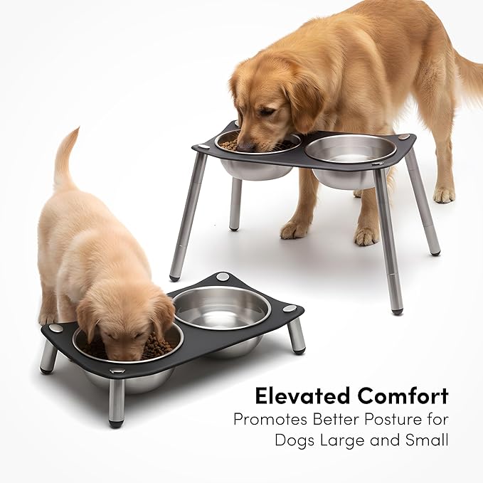 xympo Adjustable Elevated Dog Bowl 56 fl oz Stainless Steel Bowls