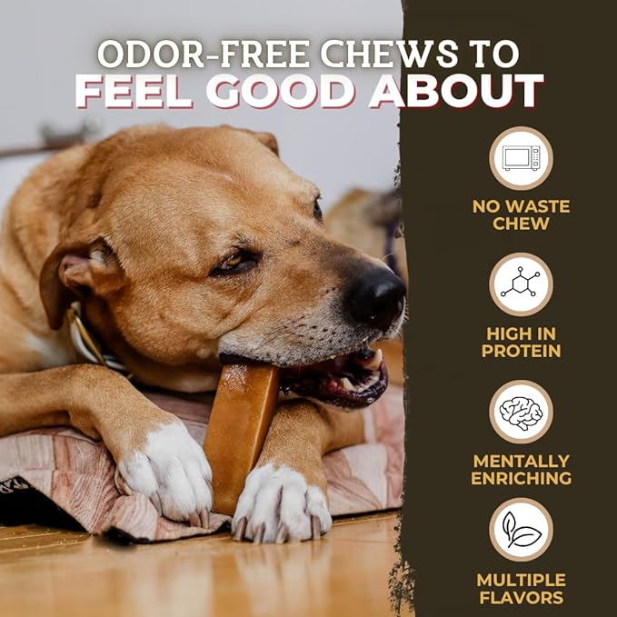Bully Bunches Small Authentic Yak Cheese Himalayan Chews for Small Dogs & Puppies - All Natural Dog Treat Dental Chews, Made with Real Yak Milk for Teething - Lactose & Rawhide Free (3 Pk)