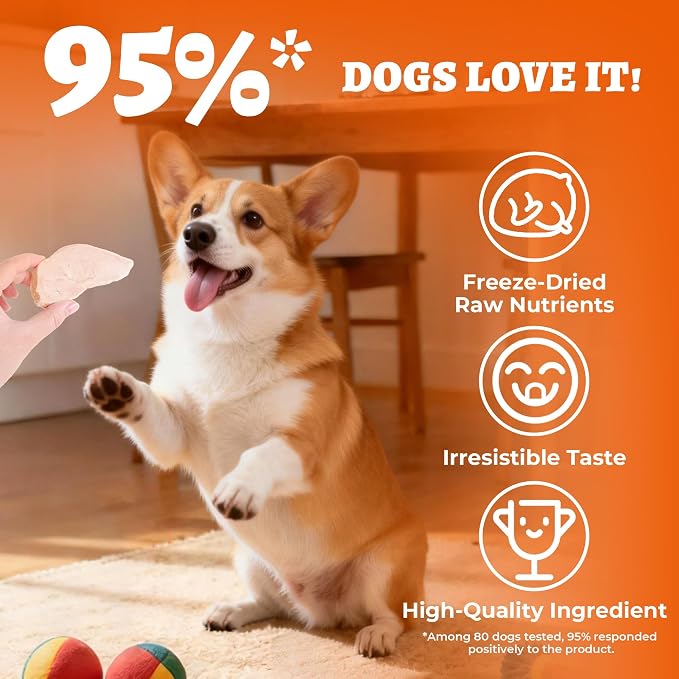 Freeze Dried Dog Treats, Single Ingredient Duck Breast Slices, Healthy Dog Treats for Medium & Large Dogs, Human Grade, Low Calorie, Grain Free Training Snacks for Dogs - 6.7oz