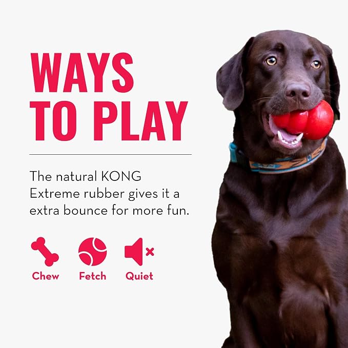 KONG Extreme Ball with Hole - Fetch Toy - Durable Dog Toy for Training, Interactive Playtime & More - Natural Extreme Rubber Ball - Black - for Large Dogs