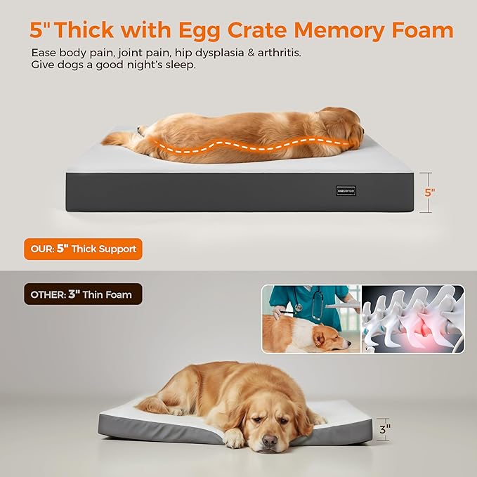 5 Inch Thick Orthopedic Dog Bed for Medium & Large Dogs, High Density Egg Crate Memory Foam with Support Foam, Waterproof Liner & TPU, Removable Washable Cover, Nonskid Bottom, 36"x27"x5", Grey