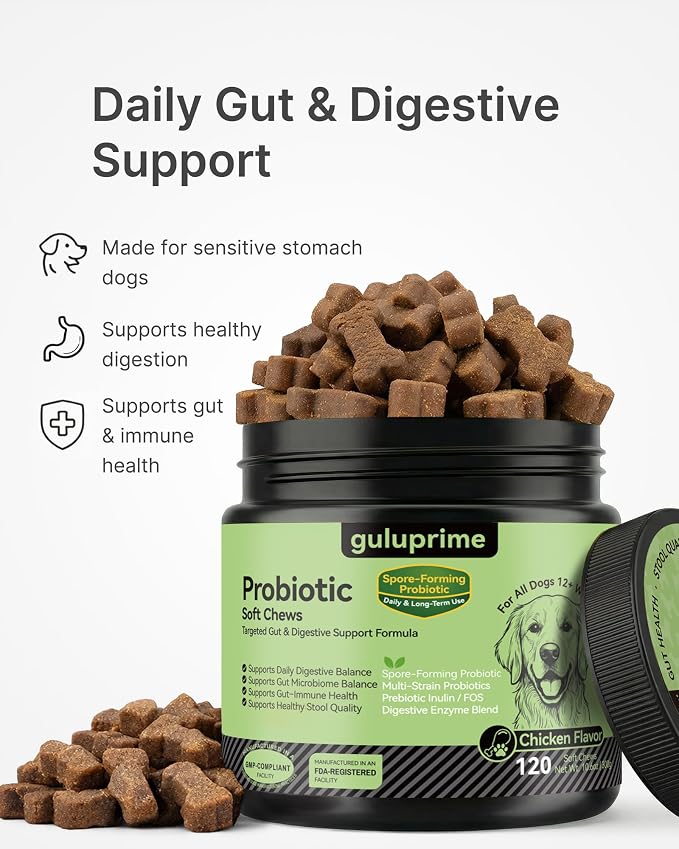 Dog Probiotics & Multivitamin Bundle, 240 Chews