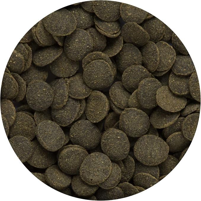 Hikari Tropical Mini Algae Wafers Fish Food, 3.0 oz (85g)