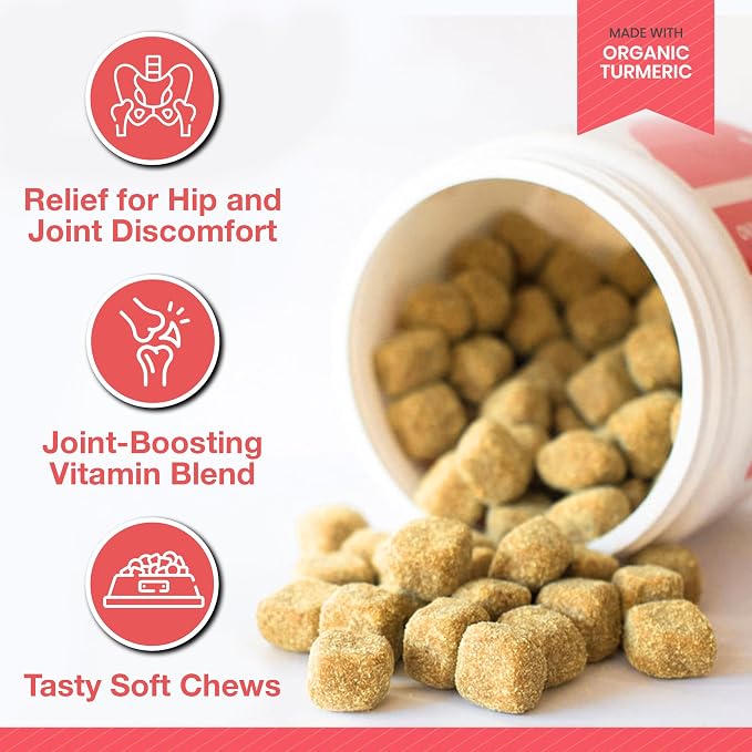 Arthritis Dog Joint Chews| Glucosamine, Chondroitin, Omega-3| MSM Support for Healthy Joints| 240ct Veterinarian Formulated Soft Chews| Up to 4-Month Supply