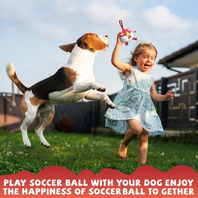QDAN Dog Toy Balls: Pet Training Soccer Ball Dog Toy with Straps- Puppy Extra Small Dog Balls Beach Pool, Dogs Herding Ball, (5 Inch)