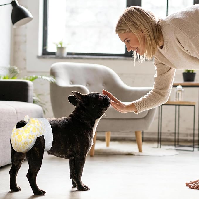 Pet Soft Disposable Dog Diapers Female, Pull Up Doggie Diapers for Female Dogs, 360°Stretchy Waist Puppy Diapers, Super Absorbent Doggy Diaper Leak Proof Design for Dogs in Heat (Small, Count, 20.0)