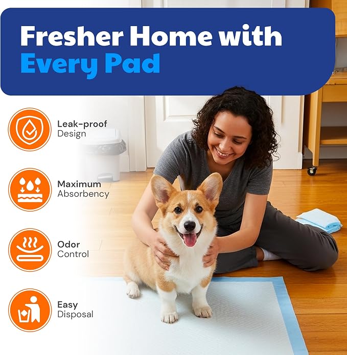 American Kennel Club Puppy Training Pads for Dogs, 30 Count, 44" X 28" XXL Fresh Scented, Absorbent Leak-Proof Dog Pee Pads in Box