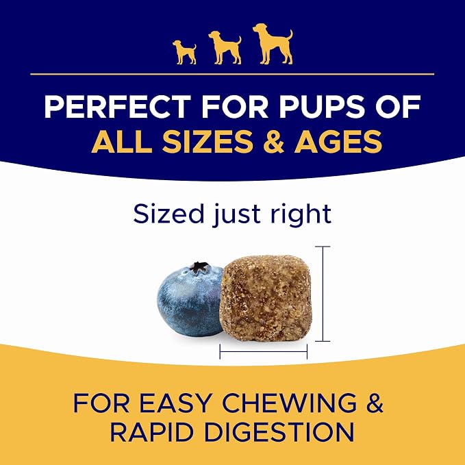 Omega 3 Alaskan Fish Oil Treats for Dogs (360 Ct) - Dry & Itchy Skin Relief + Allergy Support - Shiny Coats - EPA&DHA Fatty Acids - Natural Salmon Oil Chews - Hip & Joint Support - Salmon Flavor