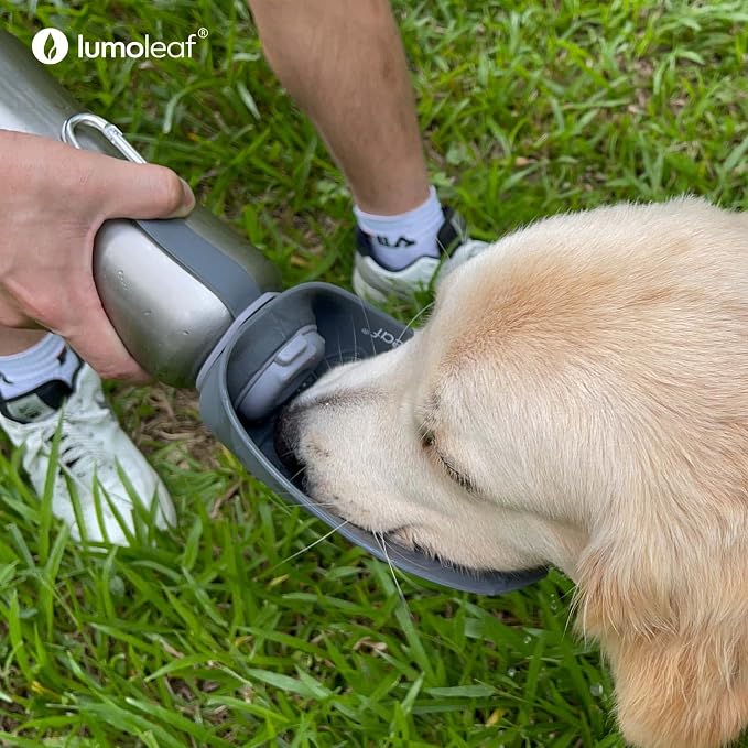 LumoLeaf Travel Dog Bowls and Water Bottle Pack, 2 Collapsible Dog Bowl 10 Cups and 8 Cups for Food or Water, 1 Portable Dog Water Bottle Dispenser