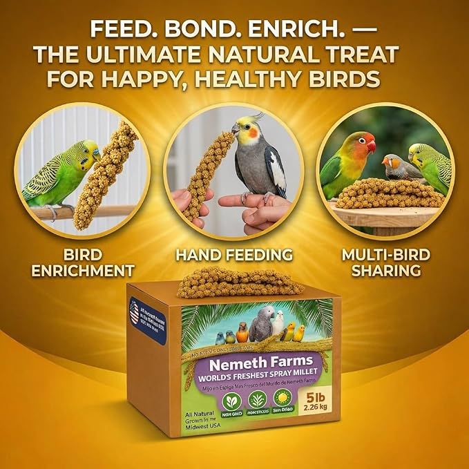 Nemeth Farms Spray Millet - Edible Tops Only, Non-GMO and Sun-Dried - 1 lb for Parakeets, Canaries and Finches