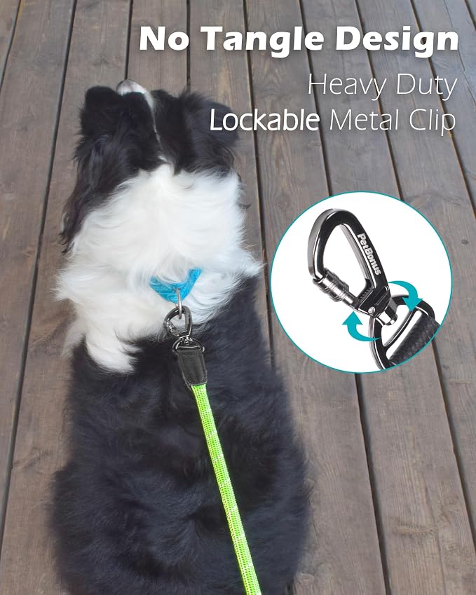 PetBonus Double Handle Rope Dog Leash and 2-Pack Large Silicone Collapsible Dog Bowls