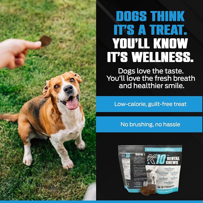 K10 Dental Chews (10 Count) – Low-Calorie Dog Chew with Human-Grade Ingredients – Dog Chews that Support Fresh Breath, Oral Hygiene, Digestion & Vitality – Vet-Preferred Dental Treats for Dogs