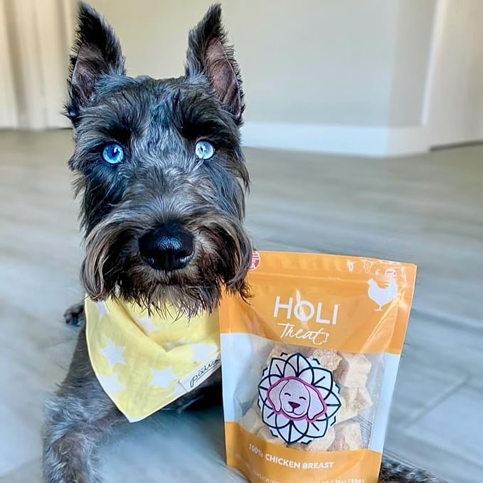 HOLI Freeze Dried Chicken Breast Dog Treats. Single Ingredient Freeze Dried Chicken Treats for Dogs. Healthy All Natural Dog Snack Made from 100% Breast Meat. High Value Training Treat. 7 oz