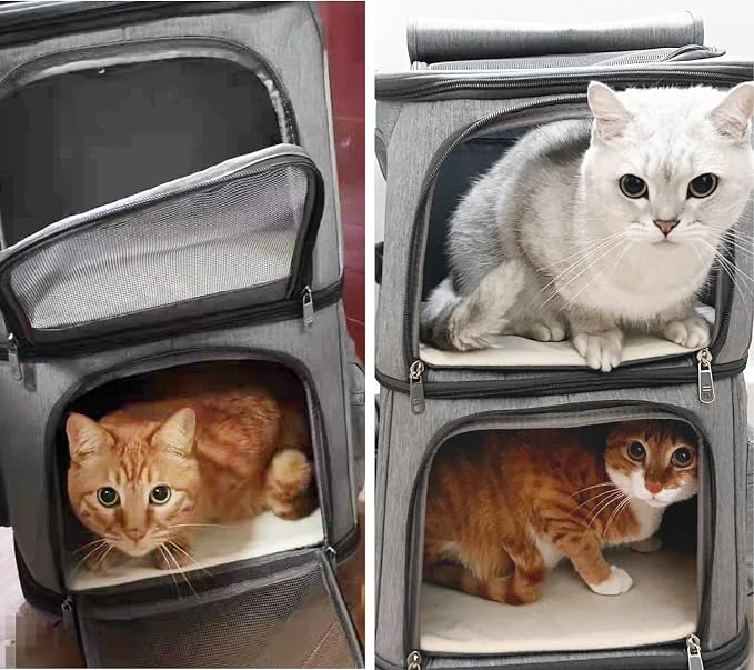 Double Cat Carrier, Cat Backpack Carrier for 2 Cats, Multi Dog Backpack, Two Cat Carrier with 7 Ventilation Windows, Built-in Frame and Support Plate, Safety Straps, Collapsible, Perfect for Travel