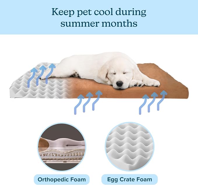 PETMAKER Dog Bed with Removable Cover – 44x35 Pet Bed - 3-Inch Egg Crate Style Foam Orthopedic Dog Mattress, Microsuede, and Non-Slip Crate Pad (Clay)
