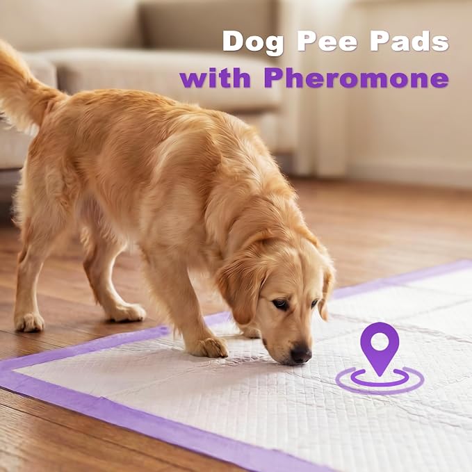 MIZOK Dog Pads Extra Large 28x44in, XXL Potty Pads for Dogs, Keeps Fresh & Clean, Ultra Absorbent Up to 12 Cups, 6 Layers Leak-Proof, Purple Lavender Color (30 Counts)