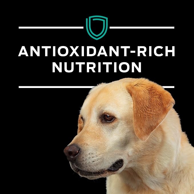 Pro Plan Veterinary Diets Purina Canine EN 38lb US