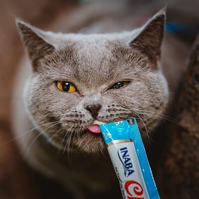 INABA Churu Cat Treats, Grain-Free, Creamy Purée Cat Treat/Topper, Chicken Variety
