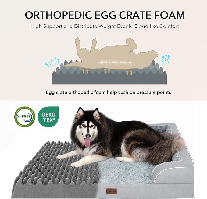 Orthopedic Dog Beds for Medium Sized Dogs 35x22 Inch, Medium Waterproof Memory Foam Dog Sofa Bed with Removable Washable Cover Pet Couch with Bolster, Light Grey